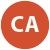 Dedicated Commercial Agent(s)